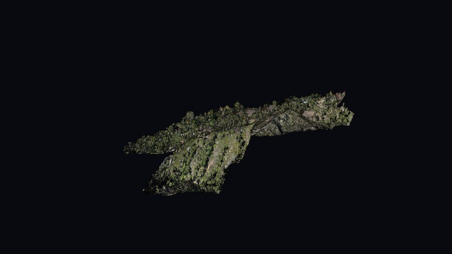 Still preview of the 3D surface model